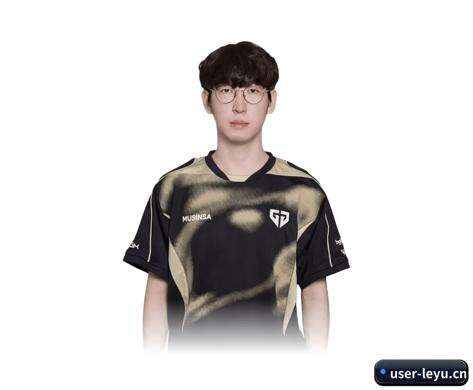 乐鱼 APP 界面(LEYU SPORTS)